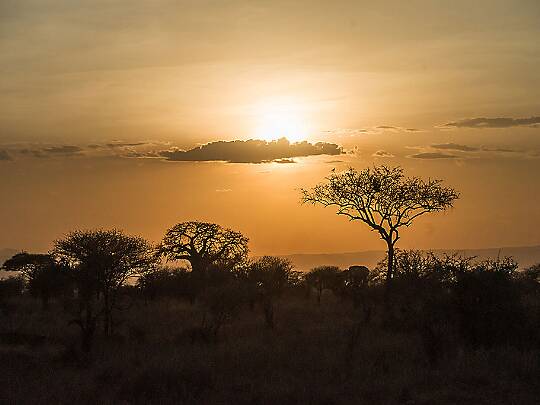 Landskap Här kan man titta på landskapsbilder.